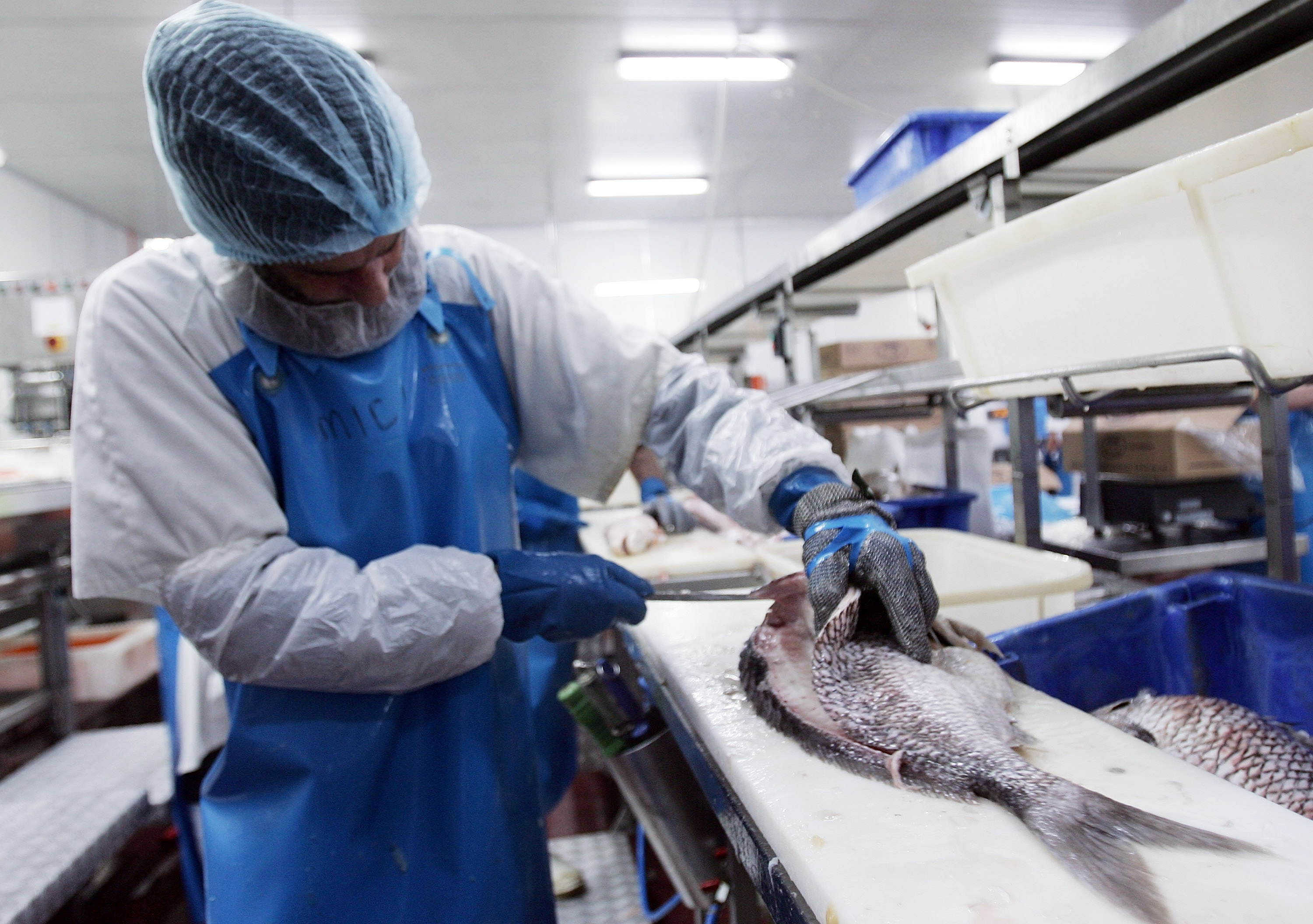 Man slicing fish in commercial market